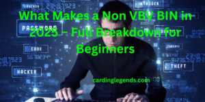 non vbv bins in 2025